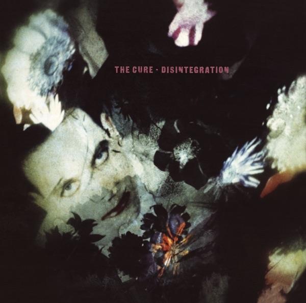 Disintegration cover art